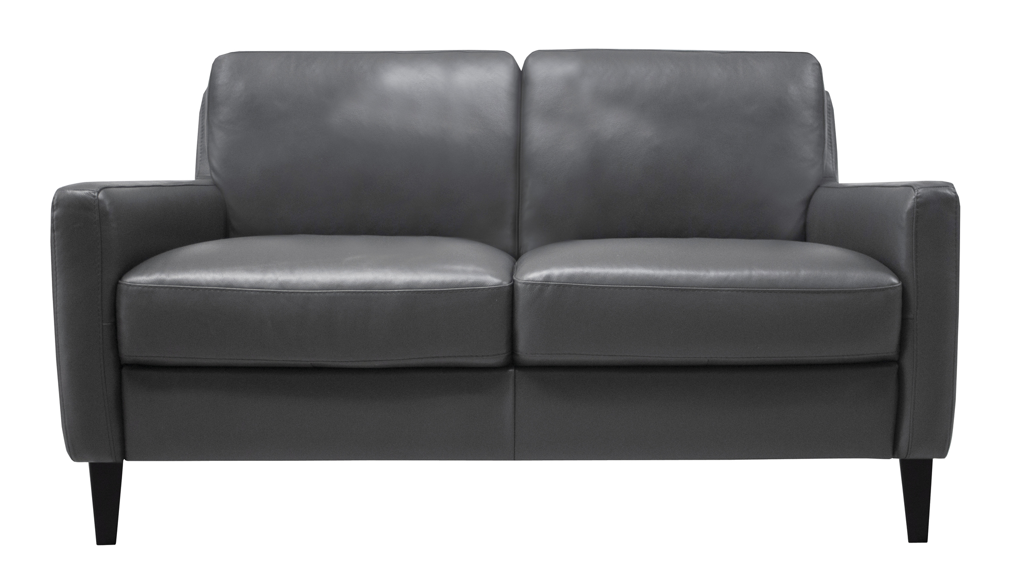 Carlo Collection Luke Leather Furniture