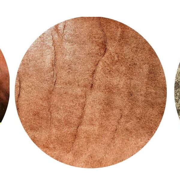 Genuine leather close-up showing natural fat lines and texture