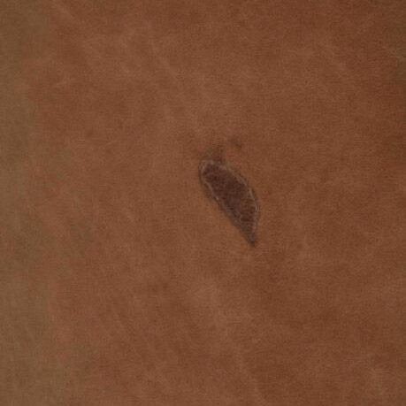 Close-up of a tan leather surface showing a small dark teardrop-shaped natural scar or insect bite mark near the center