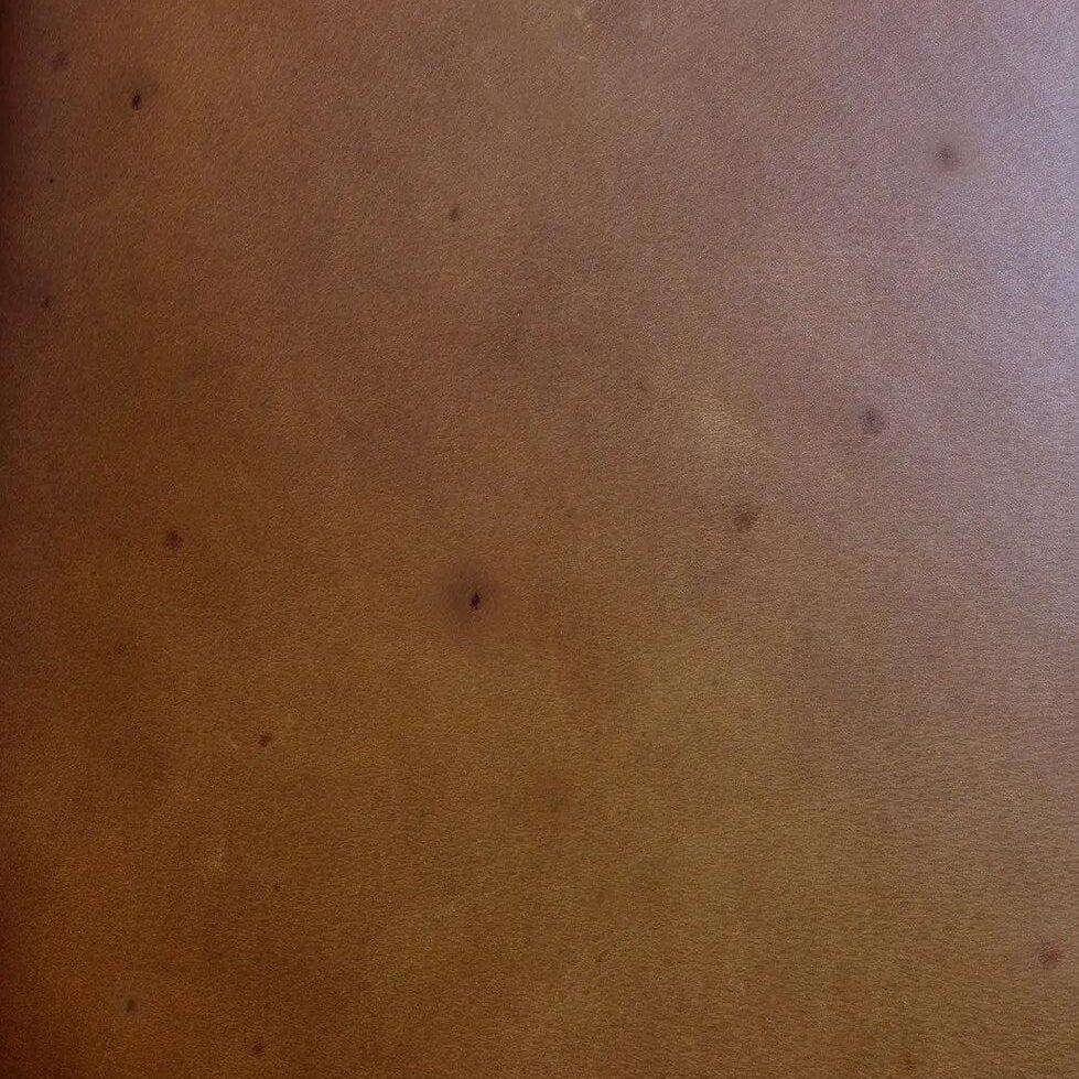 Real leather with small natural insect bite markings